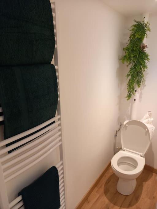 Le Charmant Accueil Viennois/T2/Wifi/Cosy/Parking Poitiers Eksteriør billede
